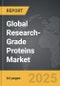 Research-Grade Proteins - Global Strategic Business Report - Product Thumbnail Image