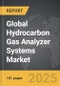 Hydrocarbon Gas Analyzer Systems - Global Strategic Business Report - Product Image
