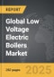 Low Voltage Electric Boilers - Global Strategic Business Report - Product Thumbnail Image