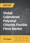 Calendered Polyvinyl Chloride Flexible Films - Global Strategic Business Report - Product Thumbnail Image