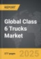 Class 6 Trucks - Global Strategic Business Report - Product Image