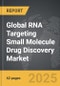 RNA Targeting Small Molecule Drug Discovery - Global Strategic Business Report - Product Image