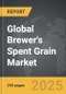 Brewer's Spent Grain - Global Strategic Business Report - Product Thumbnail Image