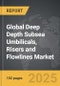 Deep Depth Subsea Umbilicals, Risers and Flowlines - Global Strategic Business Report - Product Image