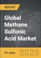 Methane Sulfonic Acid - Global Strategic Business Report - Product Image