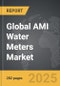 AMI Water Meters - Global Strategic Business Report - Product Image