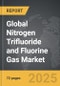 Nitrogen Trifluoride and Fluorine Gas - Global Strategic Business Report - Product Image
