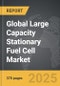 Large Capacity Stationary Fuel Cell - Global Strategic Business Report - Product Image