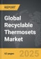 Recyclable Thermosets - Global Stategic Business Report - Product Thumbnail Image