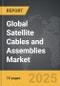 Satellite Cables and Assemblies - Global Strategic Business Report - Product Image