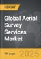 Aerial Survey Services - Global Strategic Business Report - Product Thumbnail Image