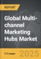 Multi-channel Marketing Hubs - Global Strategic Business Report - Product Thumbnail Image