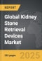 Kidney Stone Retrieval Devices - Global Strategic Business Report - Product Image