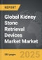 Kidney Stone Retrieval Devices Market - Global Strategic Business Report - Product Image
