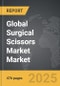 Surgical Scissors Market - Global Strategic Business Report - Product Thumbnail Image