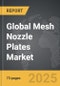 Mesh Nozzle Plates - Global Strategic Business Report - Product Image