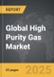High Purity Gas - Global Strategic Business Report - Product Image