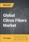 Citrus Fibers - Global Strategic Business Report - Product Thumbnail Image