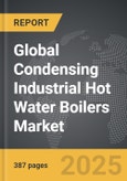 Condensing Industrial Hot Water Boilers - Global Strategic Business Report- Product Image