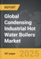 Condensing Industrial Hot Water Boilers - Global Strategic Business Report - Product Thumbnail Image