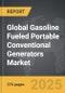 Gasoline Fueled Portable Conventional Generators - Global Strategic Business Report - Product Image
