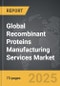 Recombinant Proteins Manufacturing Services - Global Strategic Business Report - Product Image