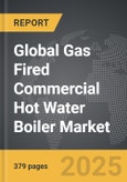 Gas Fired Commercial Hot Water Boiler - Global Strategic Business Report- Product Image