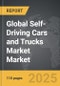 Self-Driving Cars and Trucks Market - Global Strategic Business Report - Product Thumbnail Image