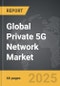Private 5G Network - Global Strategic Business Report - Product Image