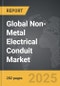 Non-Metal Electrical Conduit - Global Strategic Business Report - Product Thumbnail Image