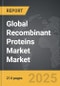 Recombinant Proteins Market - Global Strategic Business Report - Product Thumbnail Image