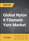 Nylon 6 Filament Yarn - Global Strategic Business Report- Product Image