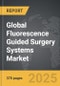 Fluorescence Guided Surgery Systems - Global Strategic Business Report - Product Image