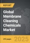 Membrane Cleaning Chemicals - Global Strategic Business Report - Product Image