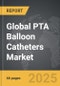 PTA Balloon Catheters - Global Strategic Business Report - Product Image