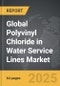 Polyvinyl Chloride in Water Service Lines - Global Strategic Business Report - Product Thumbnail Image
