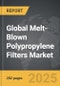 Melt-Blown Polypropylene Filters - Global Strategic Business Report - Product Image