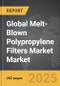 Melt-Blown Polypropylene Filters Market - Global Strategic Business Report - Product Image