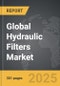 Hydraulic Filters - Global Strategic Business Report - Product Image