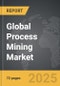 Process Mining - Global Stategic Business Report - Product Thumbnail Image