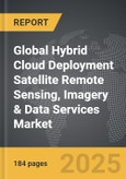 Hybrid Cloud Deployment Satellite Remote Sensing, Imagery & Data Services - Global Strategic Business Report- Product Image