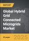 Hybrid Grid Connected Microgrids - Global Strategic Business Report - Product Thumbnail Image