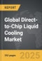 Direct-to-Chip Liquid Cooling - Global Strategic Business Report - Product Image