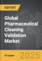 Pharmaceutical Cleaning Validation - Global Strategic Business Report - Product Image
