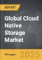 Cloud Native Storage - Global Strategic Business Report - Product Image