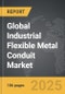 Industrial Flexible Metal Conduit - Global Strategic Business Report - Product Image