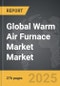 Warm Air Furnace Market - Global Strategic Business Report - Product Thumbnail Image