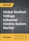 Medium Voltage Industrial Electric Boilers - Global Strategic Business Report - Product Thumbnail Image