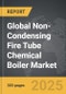 Non-Condensing Fire Tube Chemical Boiler - Global Strategic Business Report - Product Thumbnail Image