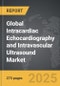 Intracardiac Echocardiography and Intravascular Ultrasound - Global Strategic Business Report - Product Image